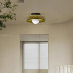 Nordic Glass Olive Disc Wall & Ceiling Light LED 1-light