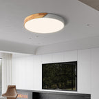 Apollo Macaron Round Dimmable Ceiling Lamp