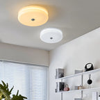 Art Deco Vintage Glass Ceiling Light
