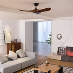 Caeden Ceiling Fan