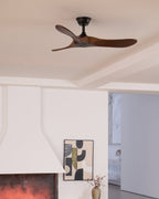 Caeden Ceiling Fan