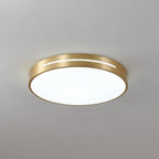 Eurcarara Modern Minimalist Brass Ceiling Light