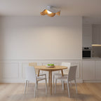 Casia Ceiling Light