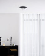Circa Ceiling Light