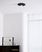 Circa Ceiling Light