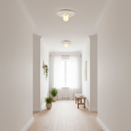 Circa Ceiling Light