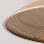 Corpin Plug In Pendant Lamp