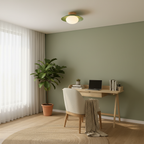 Dawn Ceiling Light