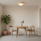 Dawn Ceiling Light