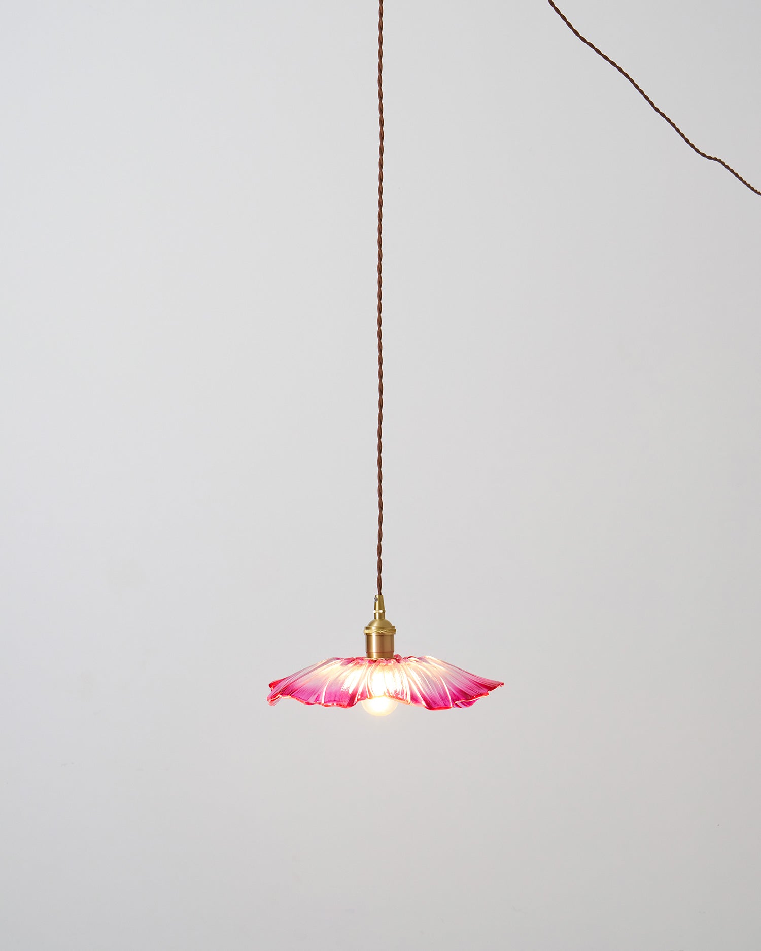 Flower Glass Plug In Pendant Lamp