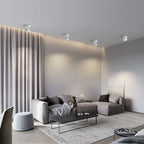 Favilla Surface Recessed Light