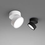 Favilla Surface Recessed Light