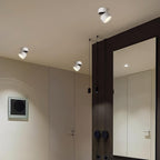 Favilla Surface Recessed Light