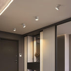 Favilla Surface Recessed Light