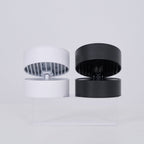 Favilla Surface Recessed Light