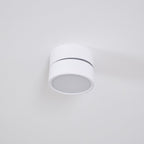 Favilla Surface Recessed Light