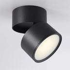 Favilla Surface Recessed Light