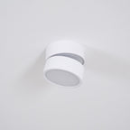Favilla Surface Recessed Light