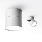 Favilla Surface Recessed Light