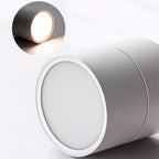 Favilla Surface Recessed Light