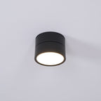 Favilla Surface Recessed Light