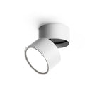 Favilla Surface Recessed Light