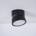 Favilla Surface Recessed Light