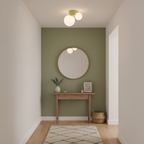 Land Ceiling Light