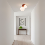Land Ceiling Light