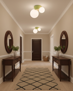 Land Ceiling Light