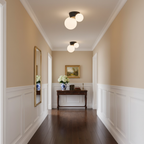 Land Ceiling Light