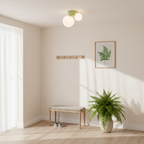 Land Ceiling Light