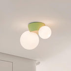 Land Ceiling Light