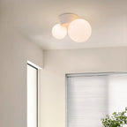 Land Ceiling Light