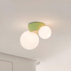 Land Ceiling Light