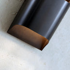 Modern Curved Brass LED Wall Sconce 1-Light