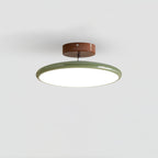Fyne Adjustable Ceiling Light Colorful for Bedroom