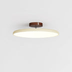 Fyne Adjustable Ceiling Light Colorful for Bedroom