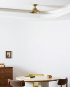 Maeve Ceiling Light