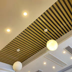 Moon Pendant Lamp