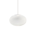 NR2 Grid Pendant Lamp
