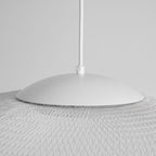 NR2 Grid Pendant Lamp