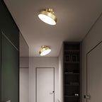 Arisha Modern LED Ceiling Light Metal Living/Dining Room
