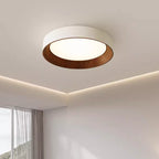 Ronan Minimalist Round Flush Mount Ceiling Light