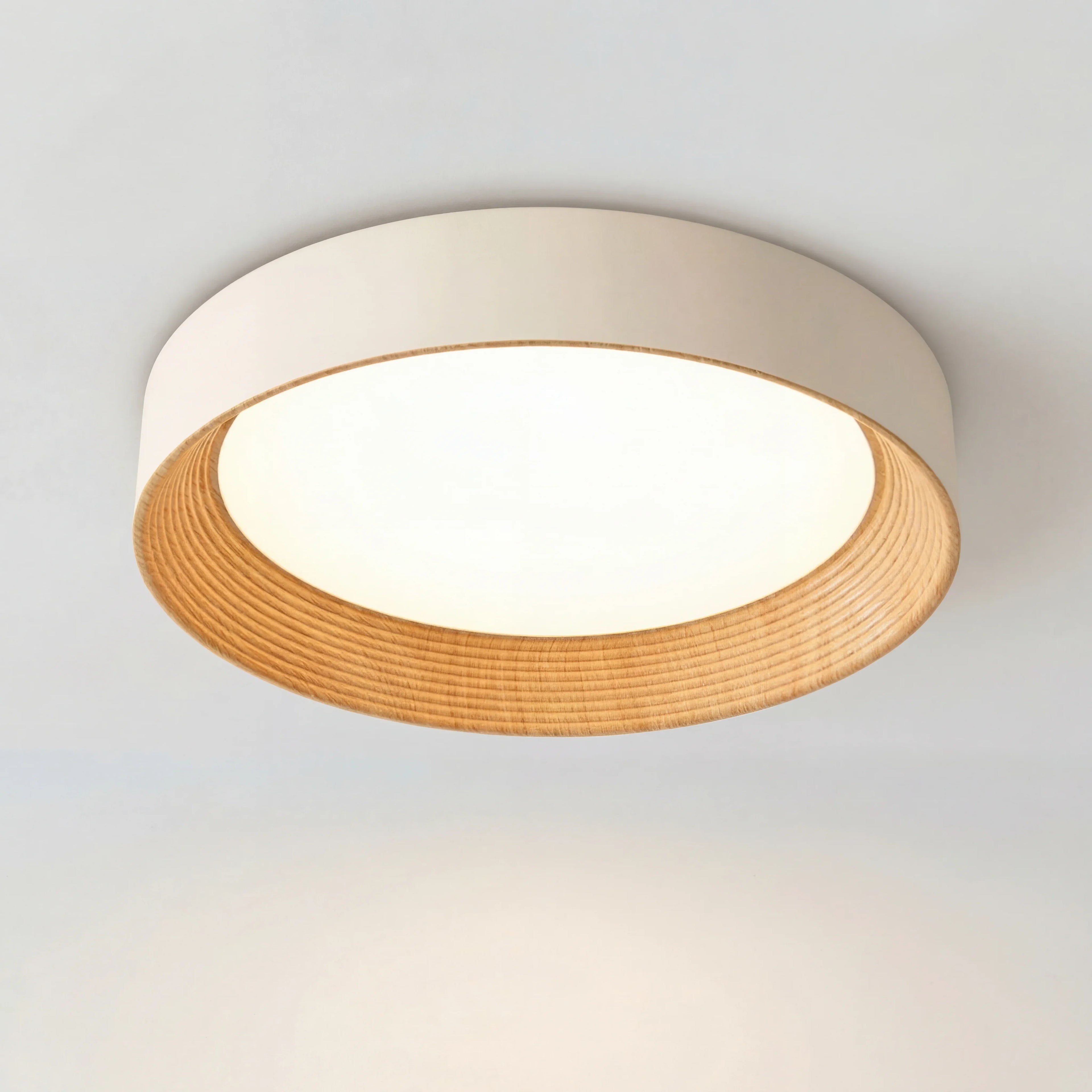 Ronan Minimalist Round Flush Mount Ceiling Light
