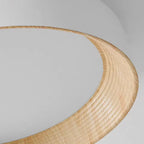 Ronan Minimalist Round Flush Mount Ceiling Light