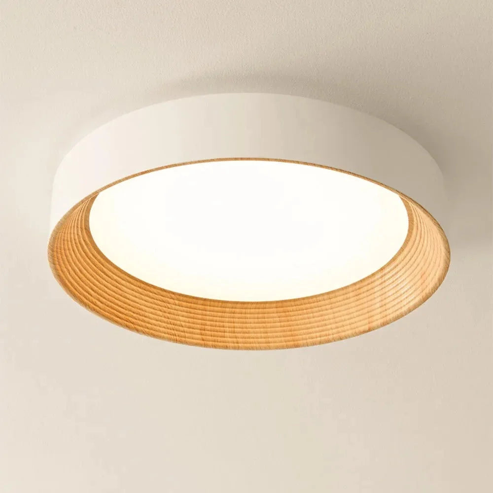 Ronan Minimalist Round Flush Mount Ceiling Light