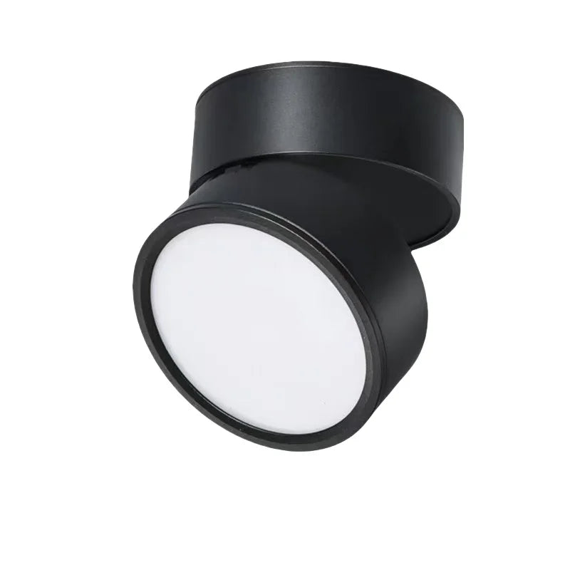 Modern Adjustable LED Ceiling Lamp
