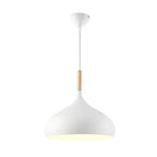 Modern pendant lamp with a rounded shape
