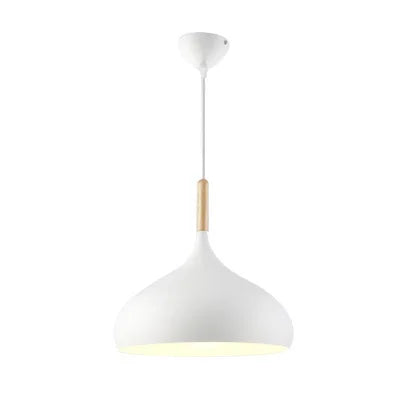 Modern pendant lamp with a rounded shape